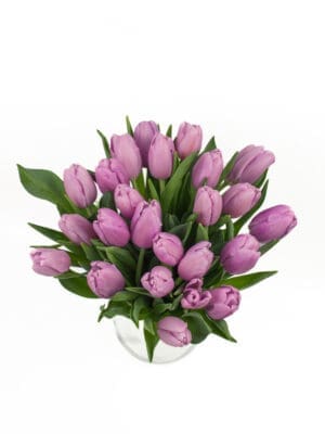 Bukiet z fioletowych tulipanów widok z góry