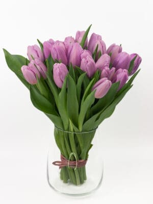 Bukiet z fioletowych tulipanów