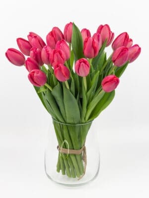 Bukiet z czerwonych tulipanów