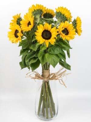 Bukiet słoneczników